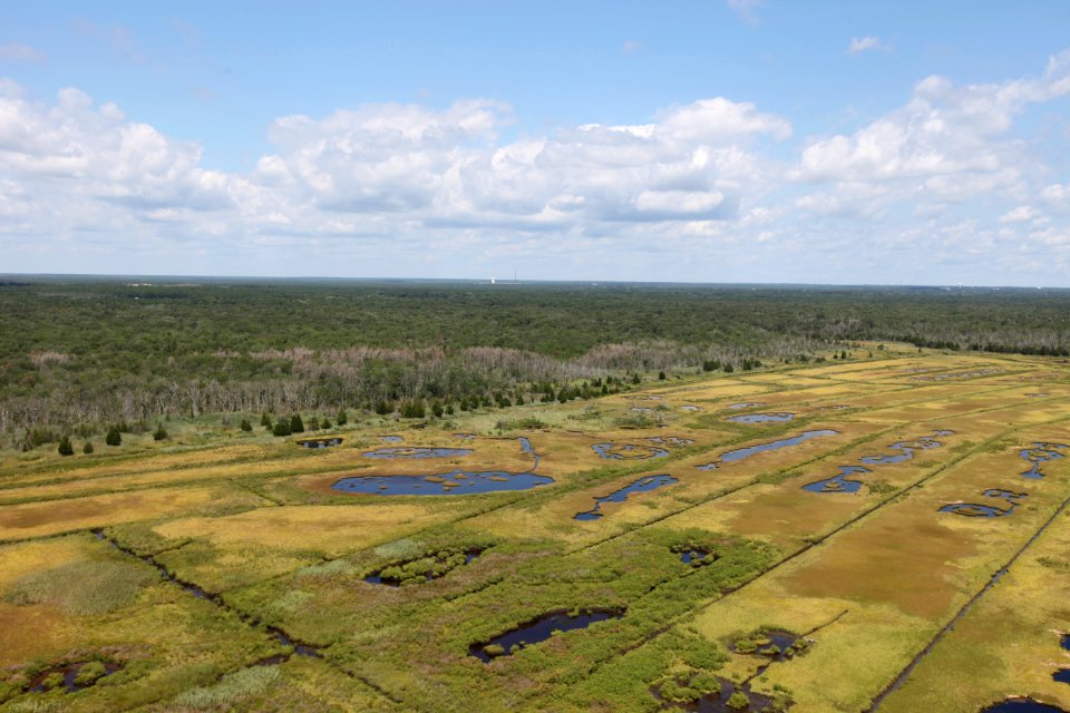 Day 2 - Forsythe National Wildlife Refuge Flyover