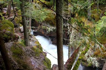 Avalanche Lake Hike
