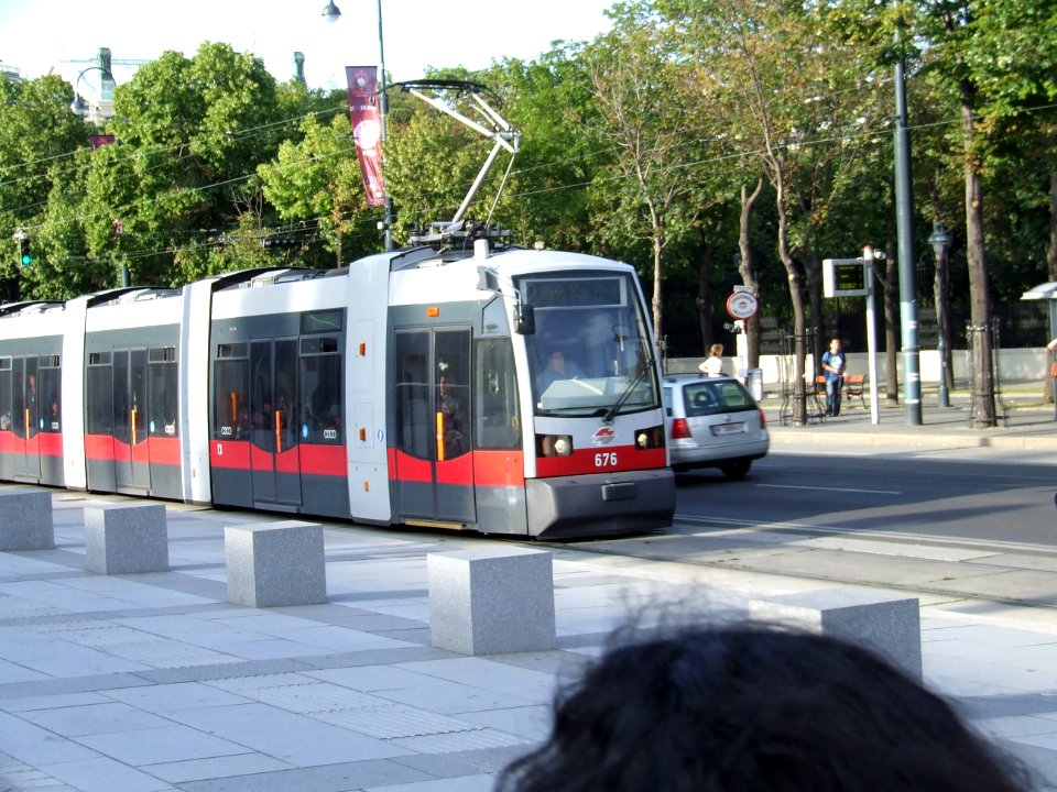 Viena