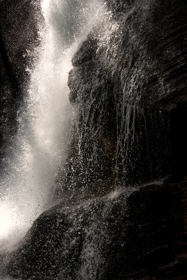 Baring Falls - Tree Shadow