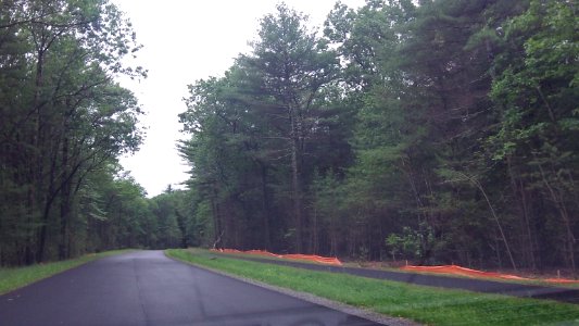 Assabet River National Wildlife Refuge photo