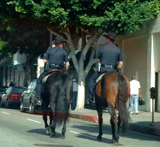 LAPD mounties photo