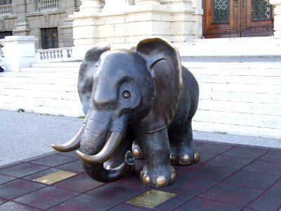 Viena