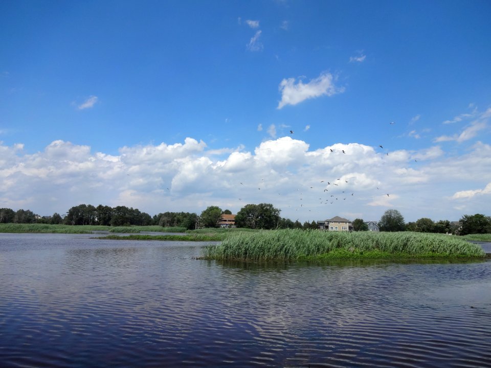 Marsh near Prime Hook community