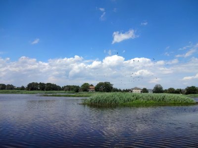 Marsh near Prime Hook community