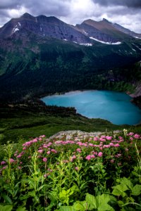 Pink Spirea blooming above Grinnell Lake photo