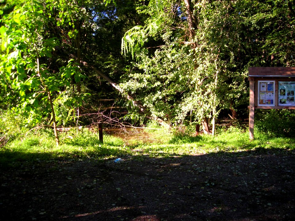 Hurricane Damage at Wallkill River National Wildlife Refuge August 30, 2011