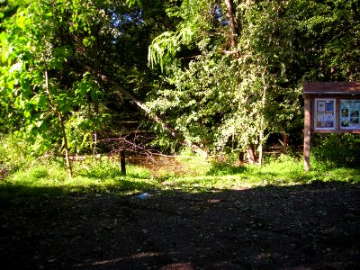 Hurricane Damage at Wallkill River National Wildlife Refuge August 30, 2011