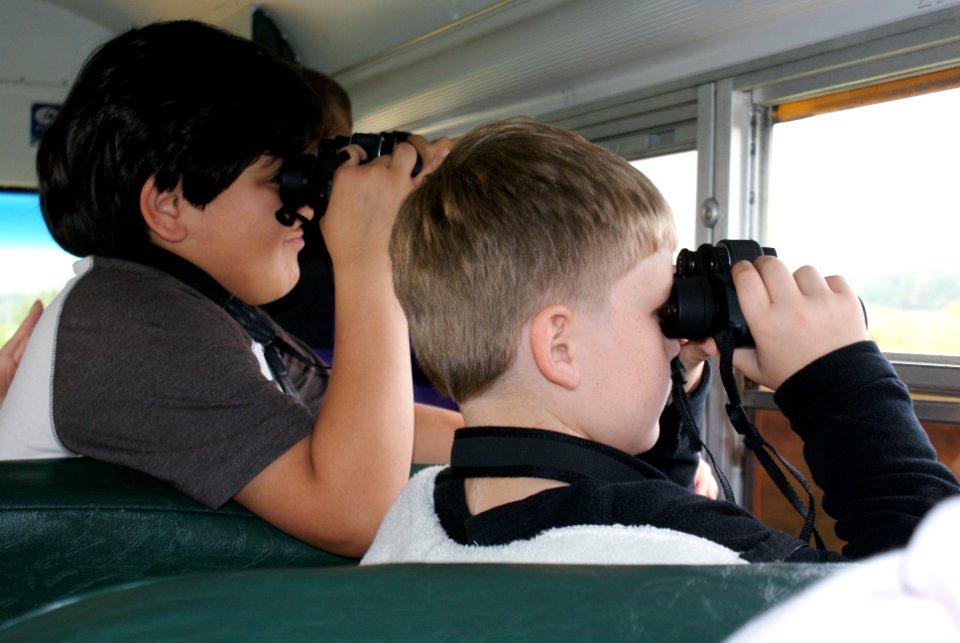 Environmental education