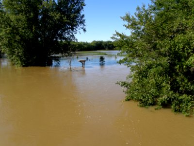 Hurricane Damage at Wallkill River National Wildlife Refuge August 30, 2011