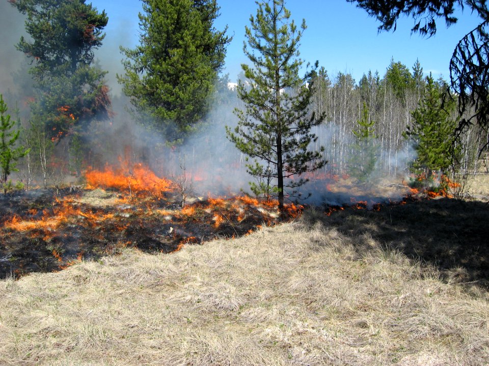 Prescribed Burn, Big Prairie, North Fork Area, 5-1-2014