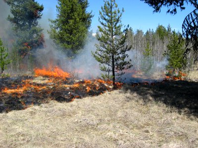 Prescribed Burn, Big Prairie, North Fork Area, 5-1-2014