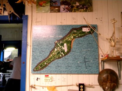 Great Gull Island, NY photo