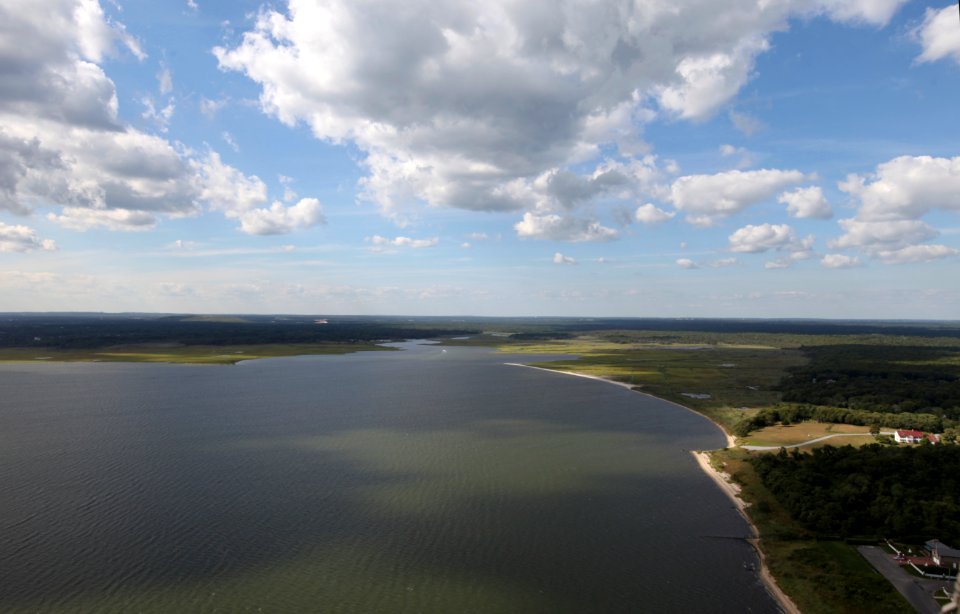 Day 1 - Long Island NWR (NY)