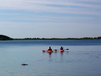 Kayakers