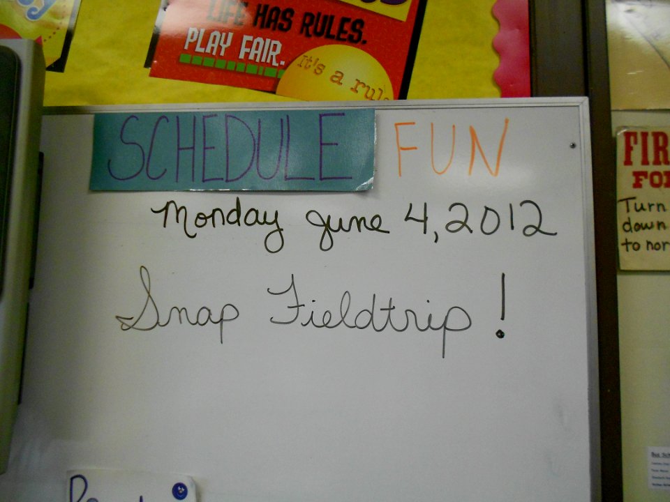 On the schedule today: FUN!