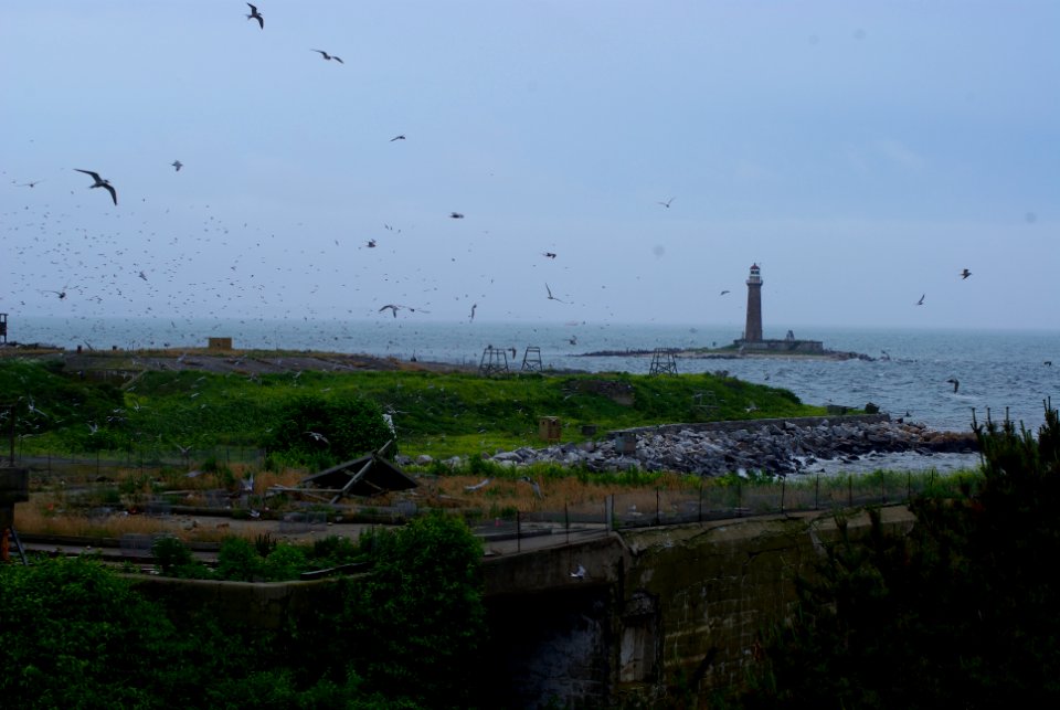 Great Gull Island, NY