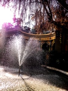DSC 0198