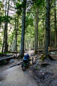 Avalanche Lake Hike with Off-road Wheelchair 08