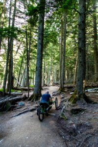 Avalanche Lake Hike with Off-road Wheelchair 08 photo