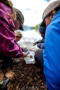 BioBlitz Group at Bowman 0452