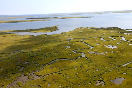 Day 2 - Forsythe National Wildlife Refuge Flyover