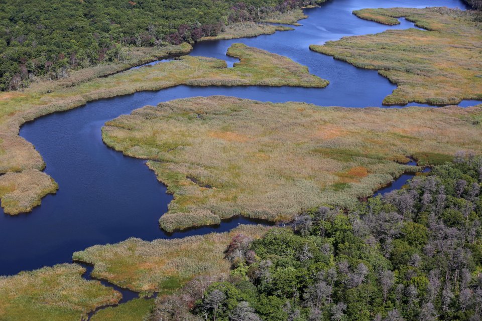 Aerial view of the Wertheim National Wildlife Refuge marshlands - 2016