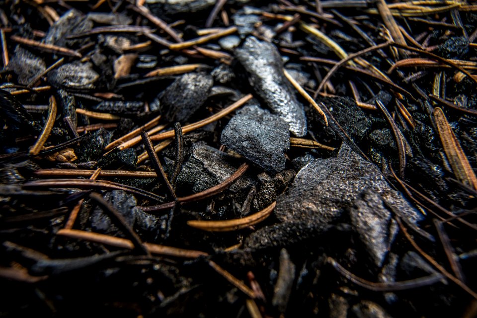 Ash and soot from the Howe Ridge Fire