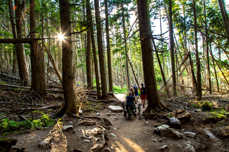 Avalanche Lake Hike with Off-road Wheelchair 16