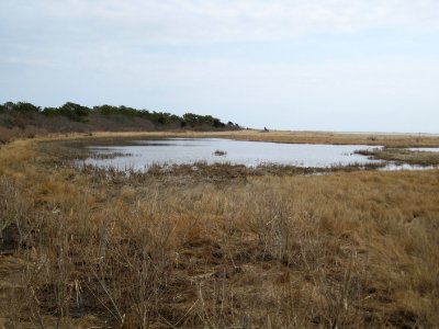 Monomoy National Wildlife Refuge