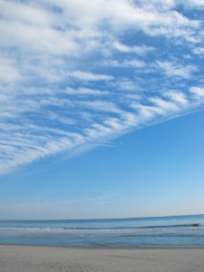 Wild Beach photo