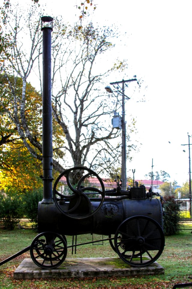Locomovil en el Parque Saval, Valdivia