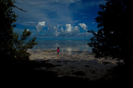 Beauty in the Florida Keys photo