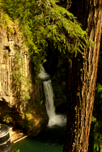 Toketee Falls photo