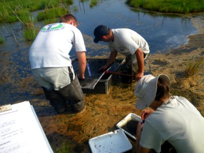 Vegetation monitoring photo