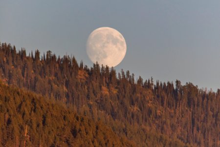 Moonrise over the Mountains photo