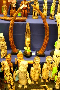 Photo of the Week - Carved Ivory (MA) photo