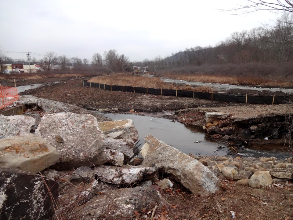 Pond Lily Dam removal site