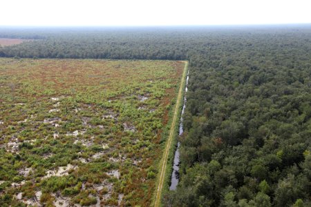 Day 5 - Great Dismal Swamp, VA - Hurricane Sandy Aerial Tour