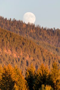 Moonrise over the Mountains Portrait