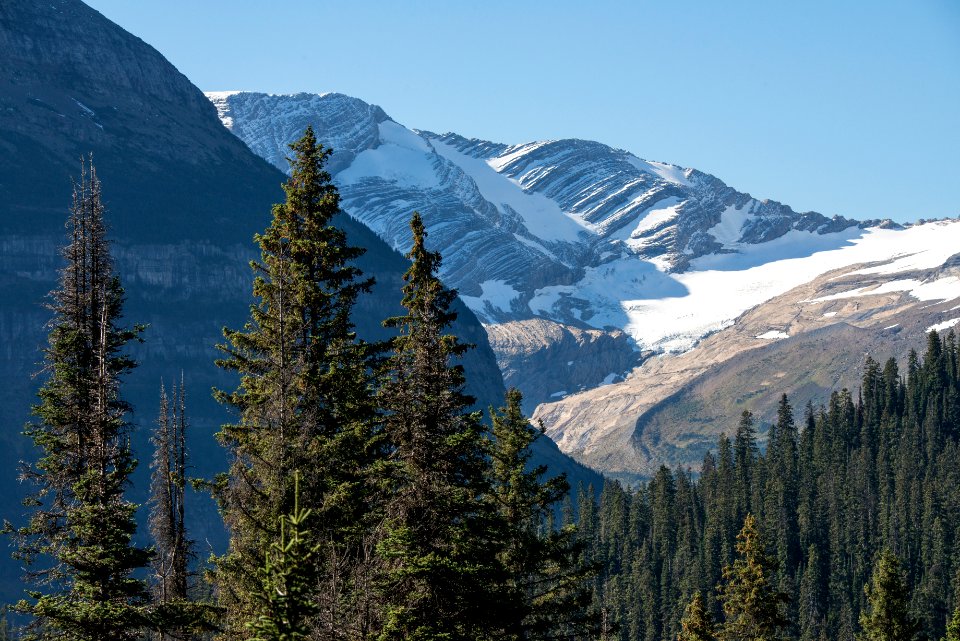 Jackson Glacier Overlook- Sept 16 B