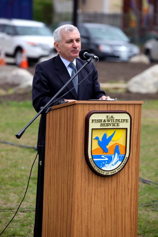 Senator Jack Reed