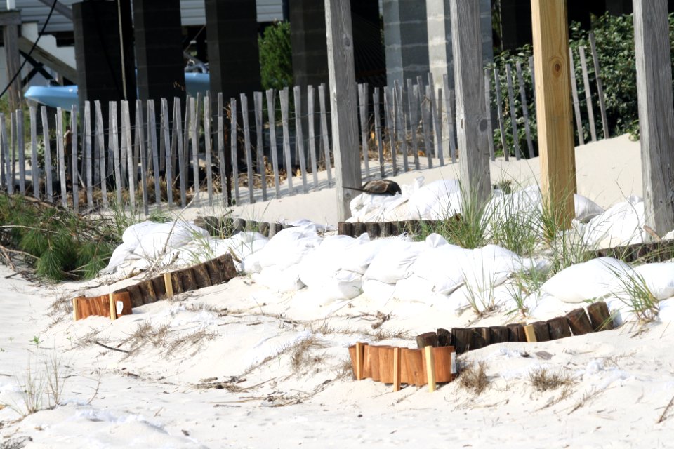 Bavon Beach project