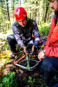 SAR High Angle Rescue Training 0025