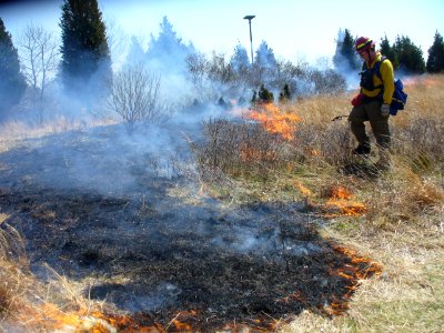 Prescribed burn at Conscience Point photo