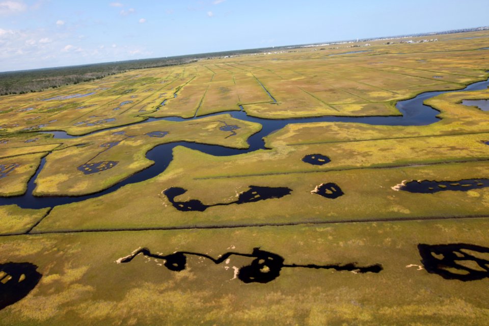 Day 2 - Forsythe National Wildlife Refuge Flyover
