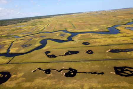 Day 2 - Forsythe National Wildlife Refuge Flyover