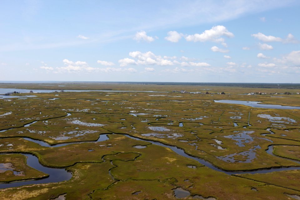 Day 2 - Forsythe National Wildlife Refuge Flyover