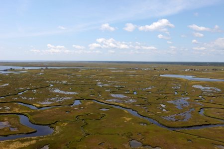 Day 2 - Forsythe National Wildlife Refuge Flyover