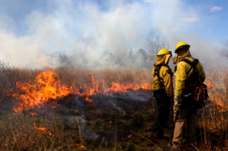 Prescribed burn at Sayville NWR photo